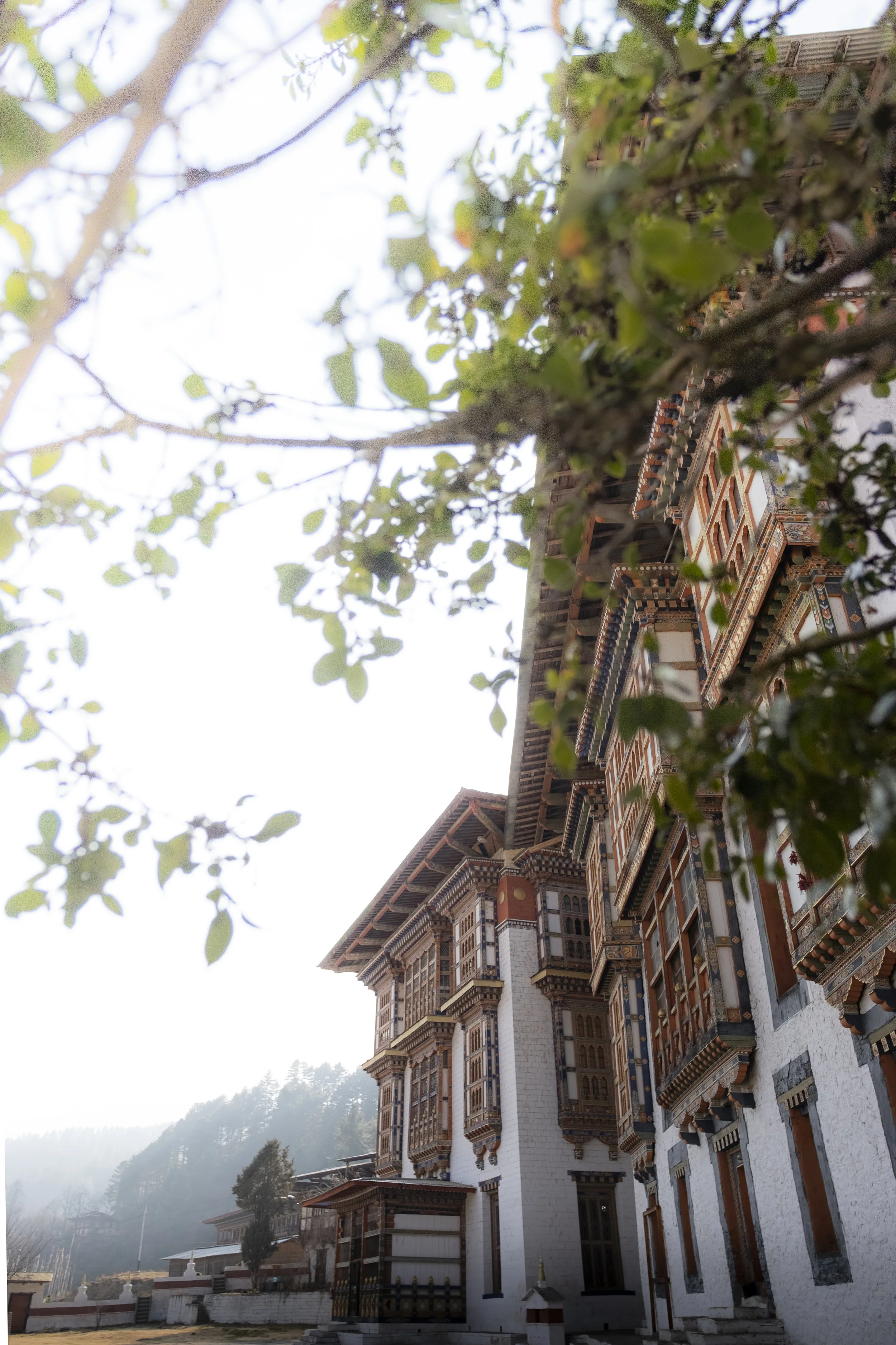 Places in Chamkar-23.jpg