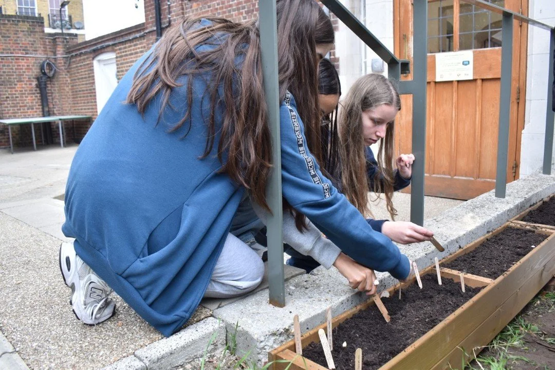 Our Sixth Form students rolled up their sleeves last month and planted a variety of bulbs that will bring colour to our school grounds this spring. 🌱✨

Each student planted a mystery bulb and tagged it with their name &mdash; we can&rsquo;t wait to 