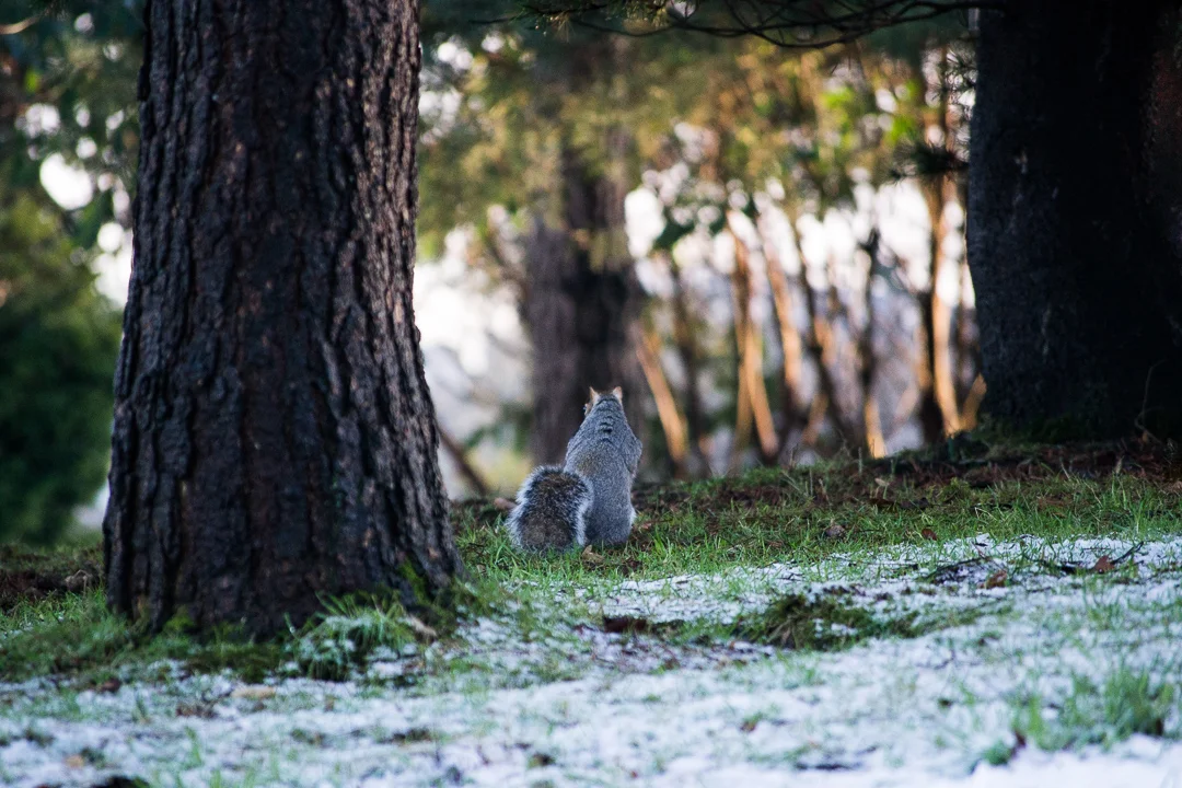 DSC_9348.jpg