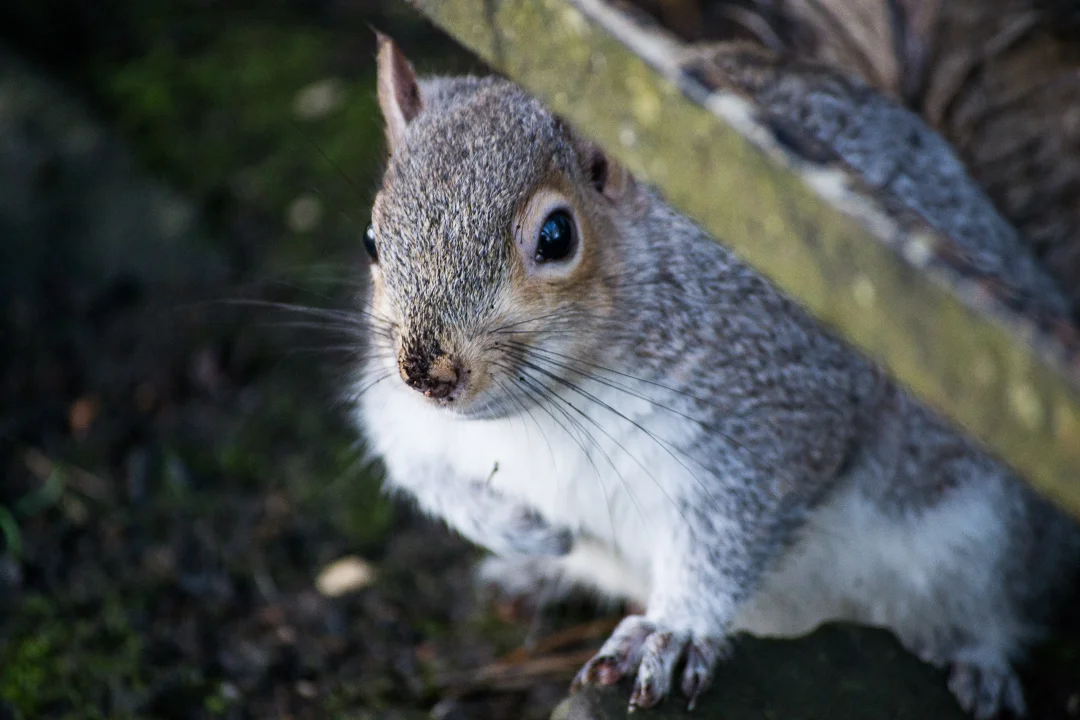 DSC_9358.jpg