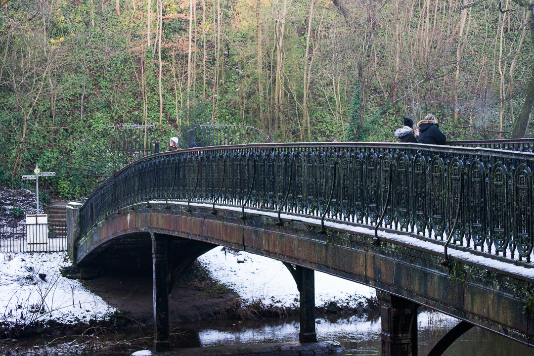 DSC_9388.jpg