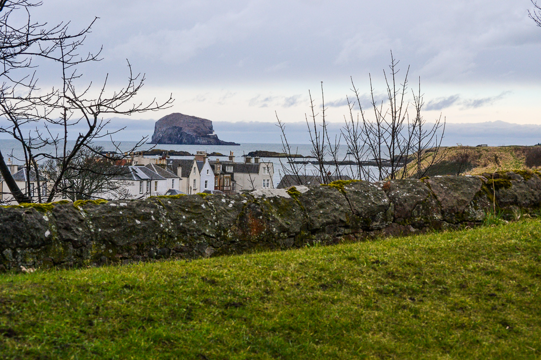 DSC_9722.jpg