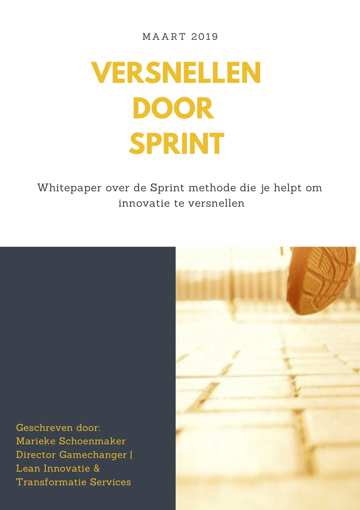 Gamechanger Whitepaper Versnellen.jpg