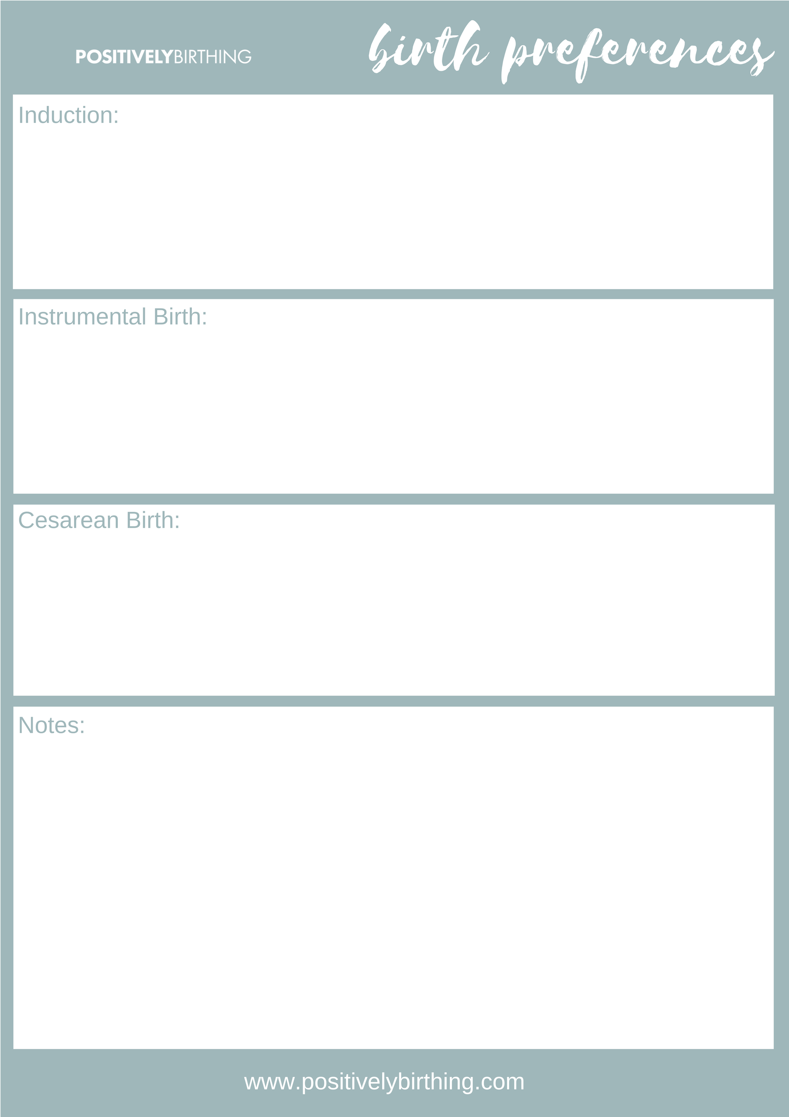 Birth Plan Template Birth Ed