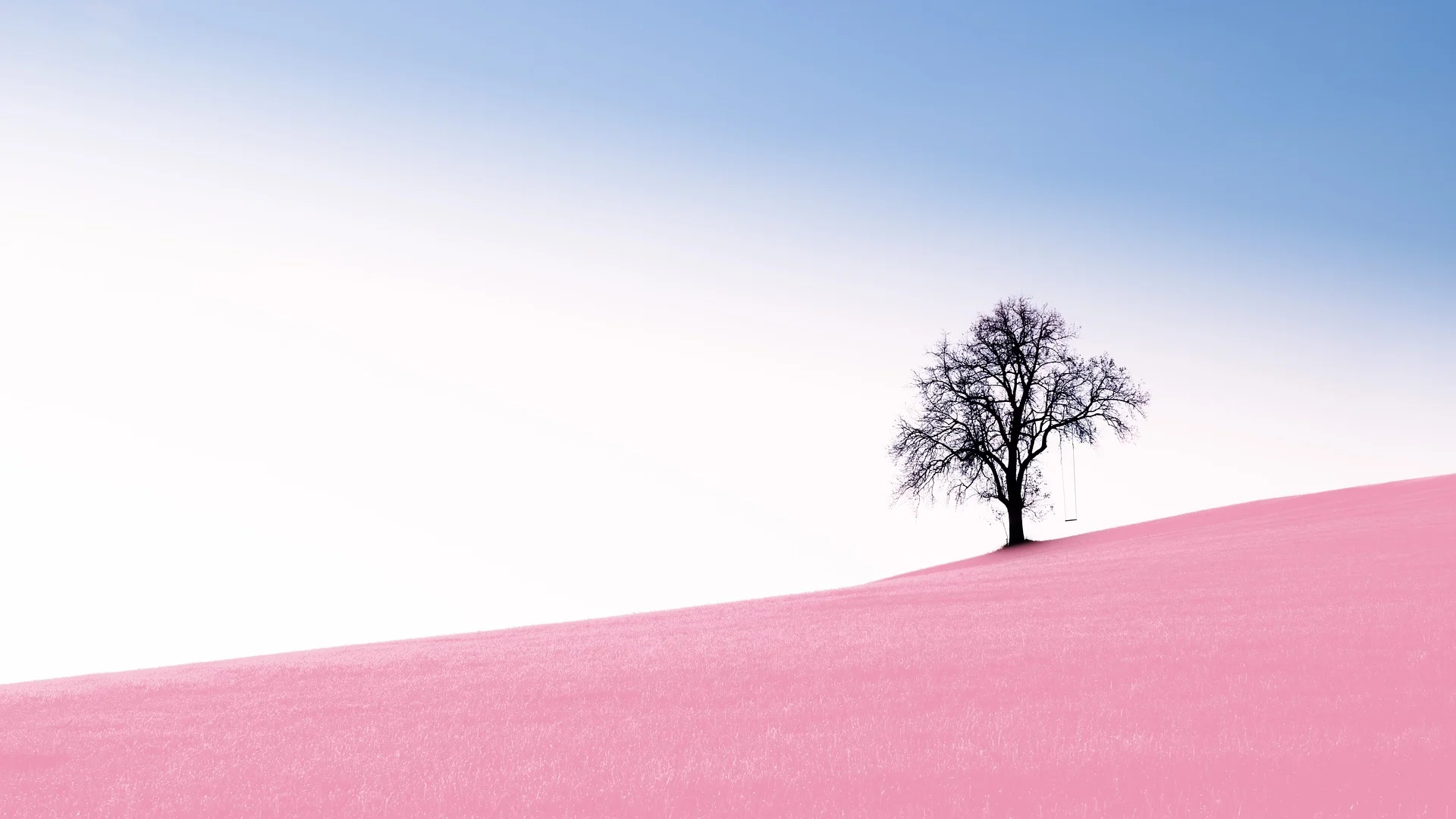 Who can forgive sins? Forgiveness without sacrifice?
