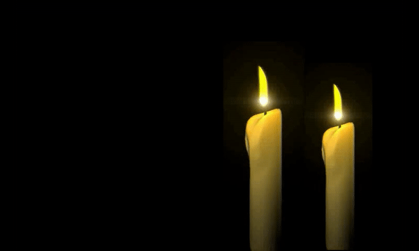 No Hard Feelings: Journey to the Light