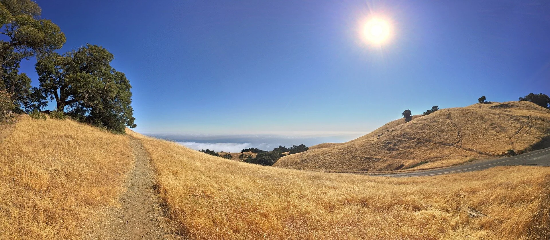 Gratitude, Grace, Generosity: The Practices of Joy