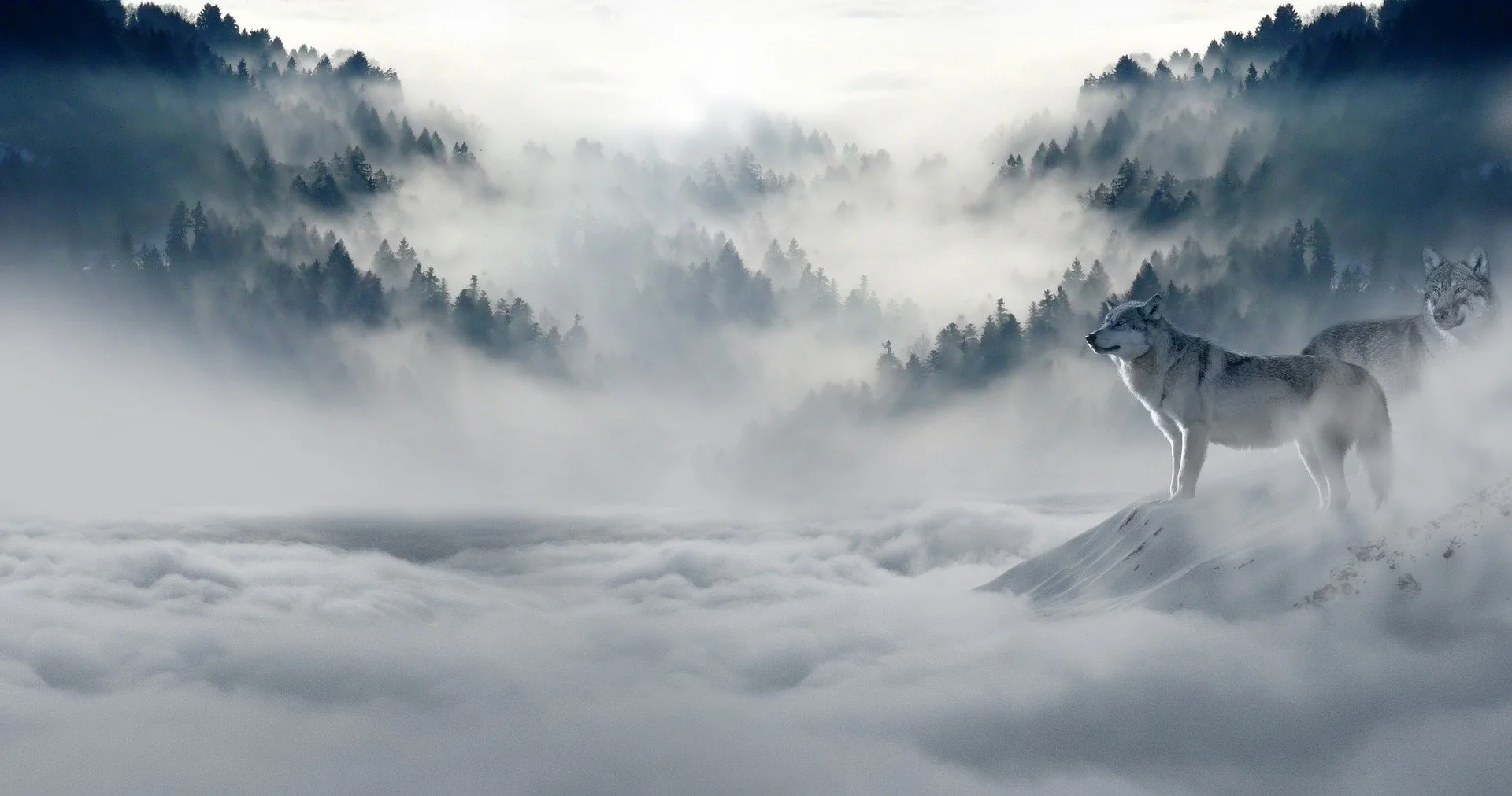 Finding Your Mystic: Listening Behind the Voices