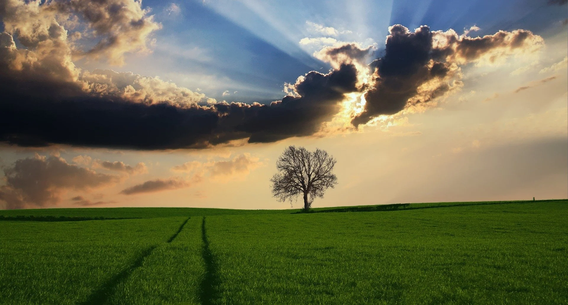 Finding Your Purpose: Listening to Your Heart