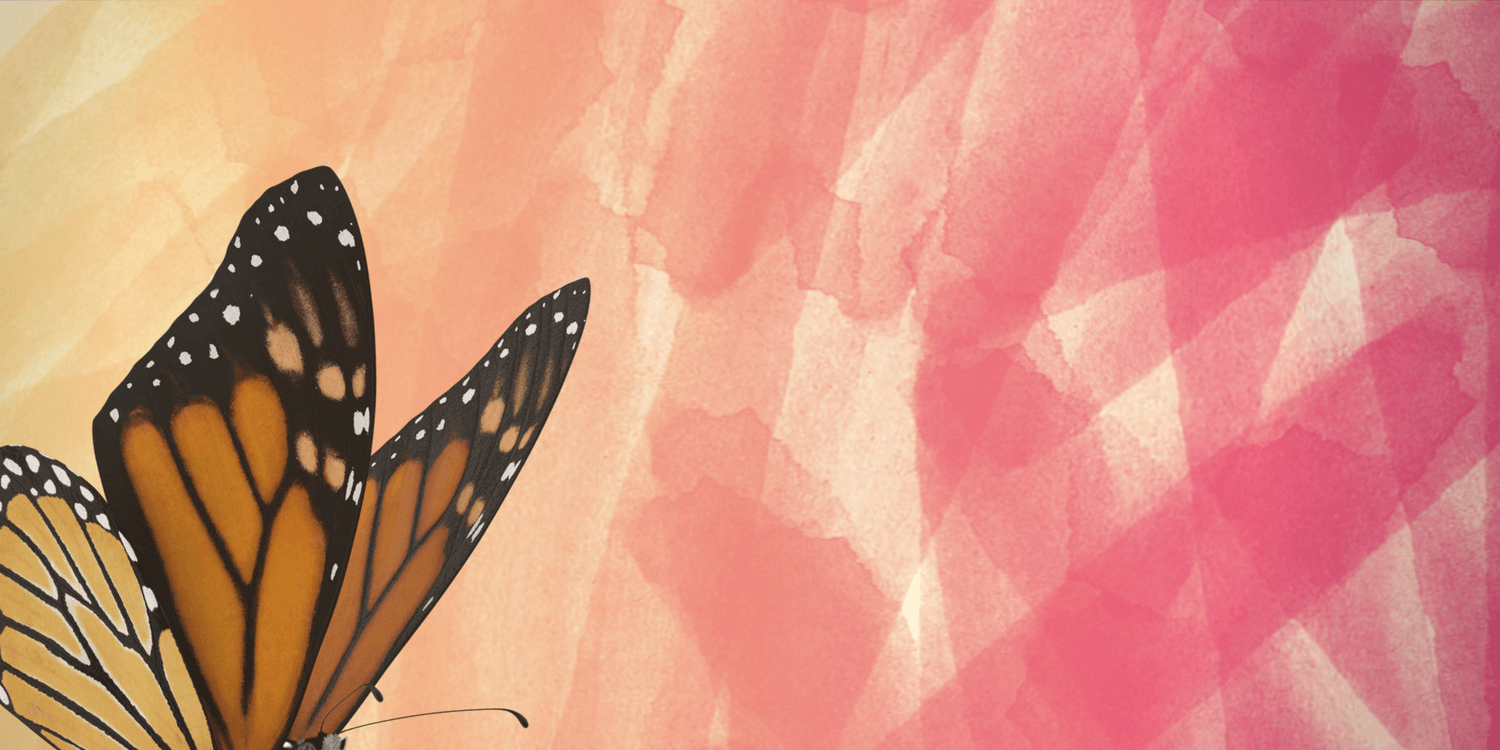 header-everbrightly-monarch.png