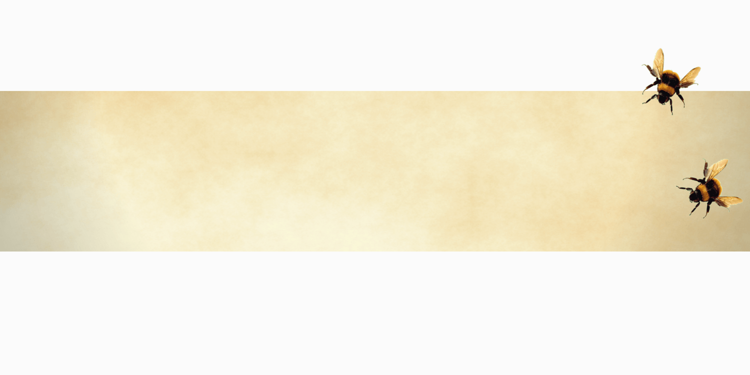bee stripe.png