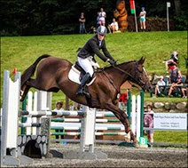 Hitching Post Farm Annie.jpg