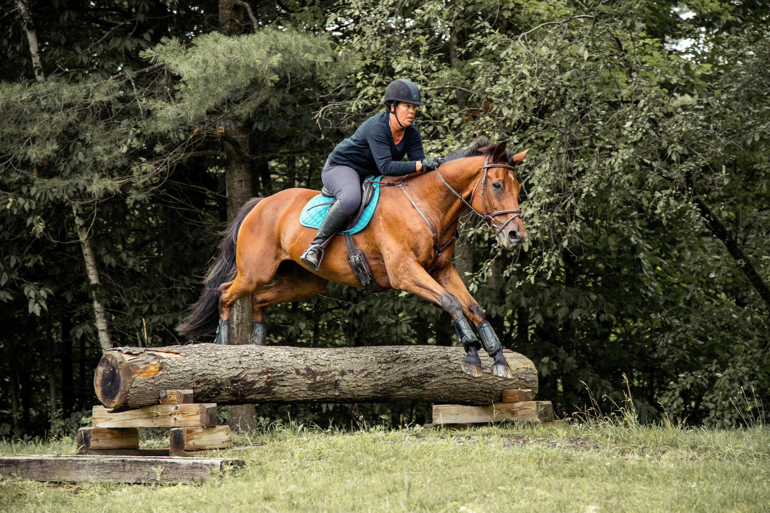 Schooling Trial Grasshopper-P