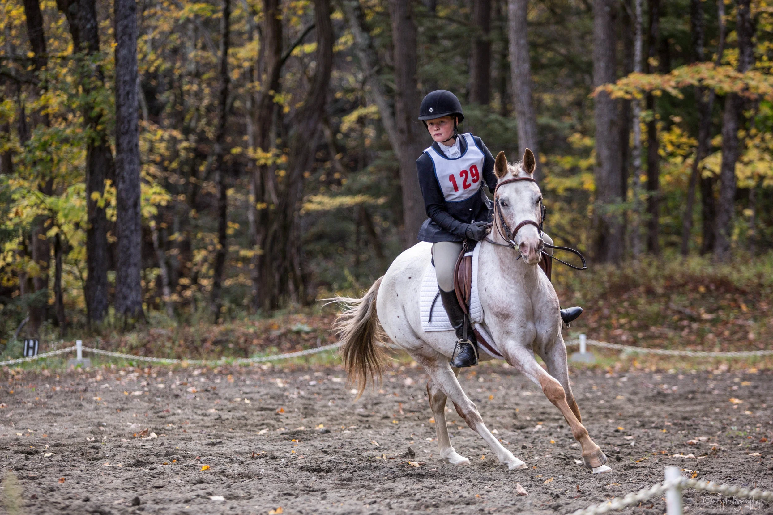 Schooling Trial Grasshopper-P