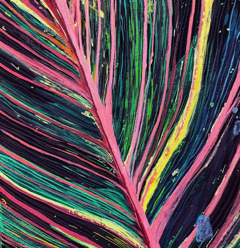 Canna Leaf
