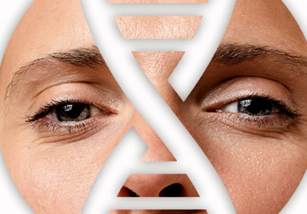 ProCell_Identity Images_02.jpg