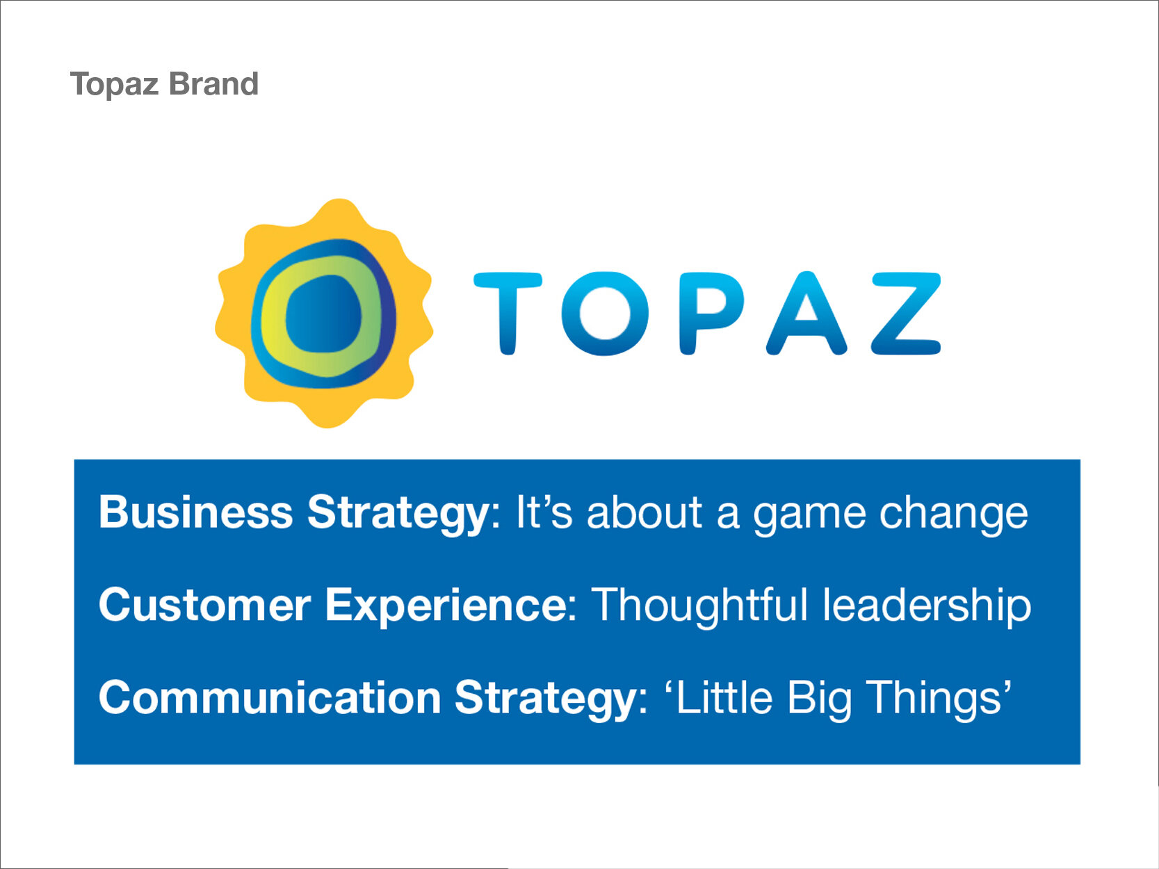 TOPAZ_strategy 30.jpg