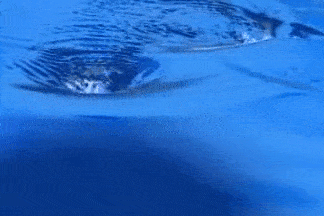 Lenovo Identity_Water 01.gif