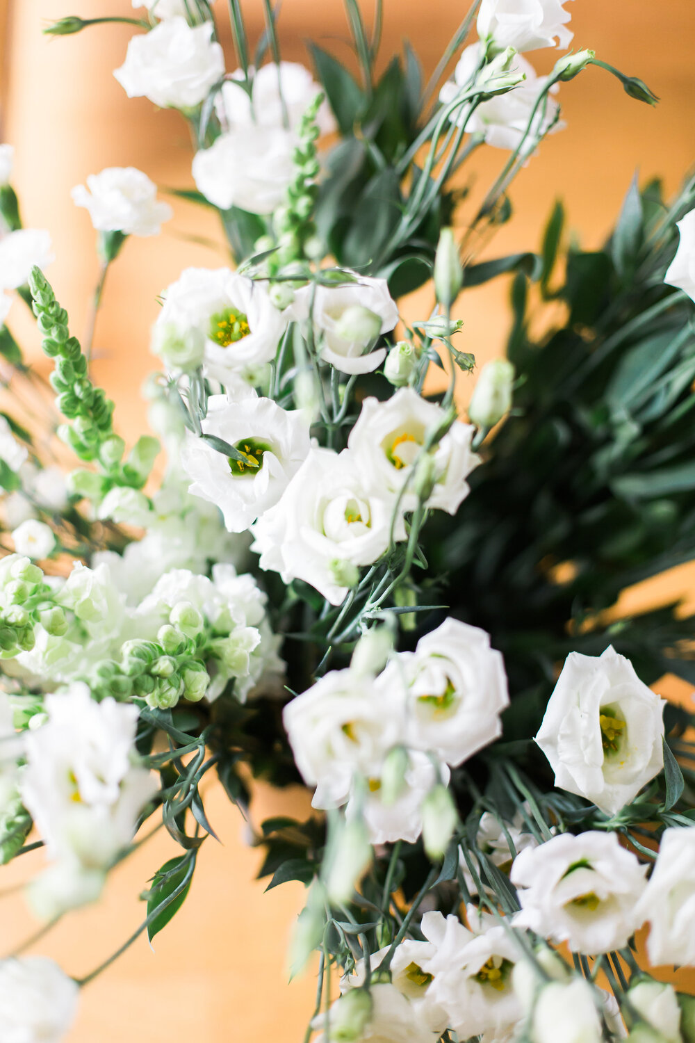 Photo courtesy of Jessi Lauren Photo