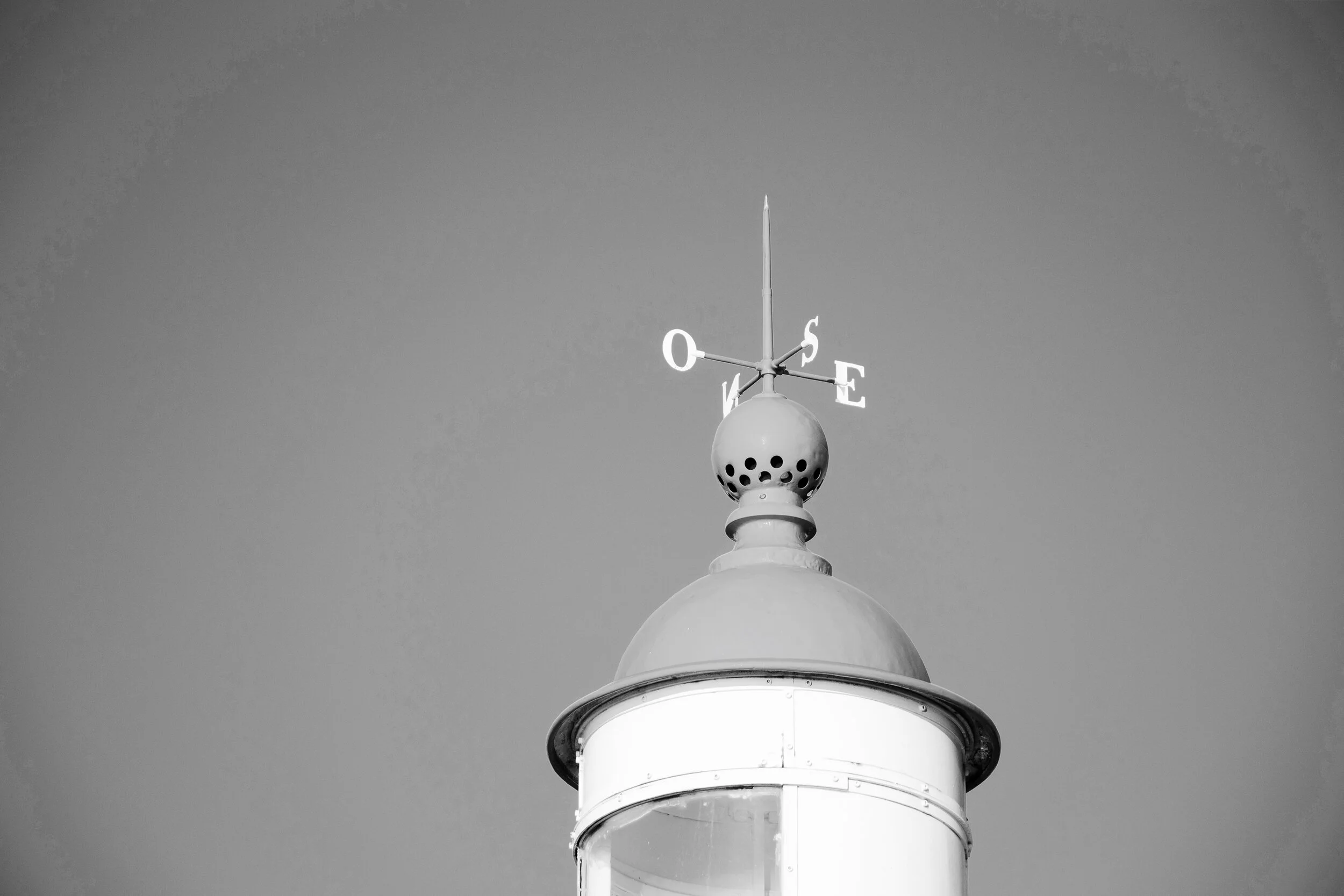 The Purpose Statement