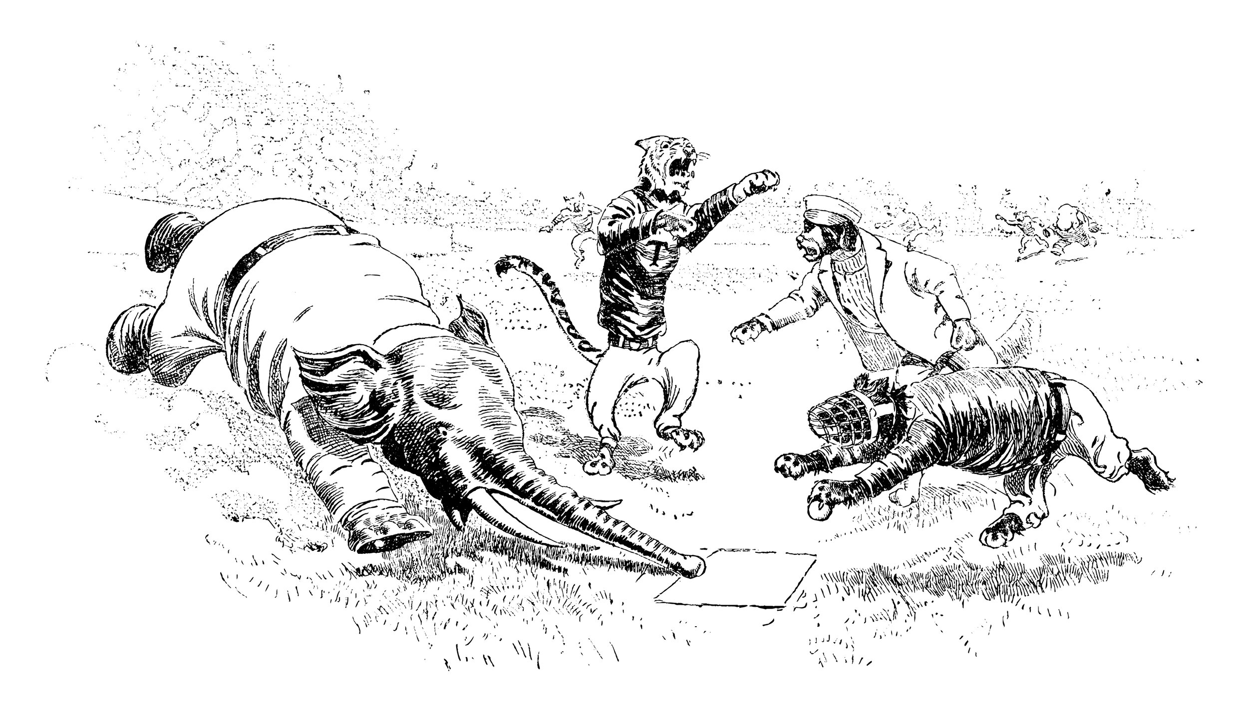 Knowing What To Stop