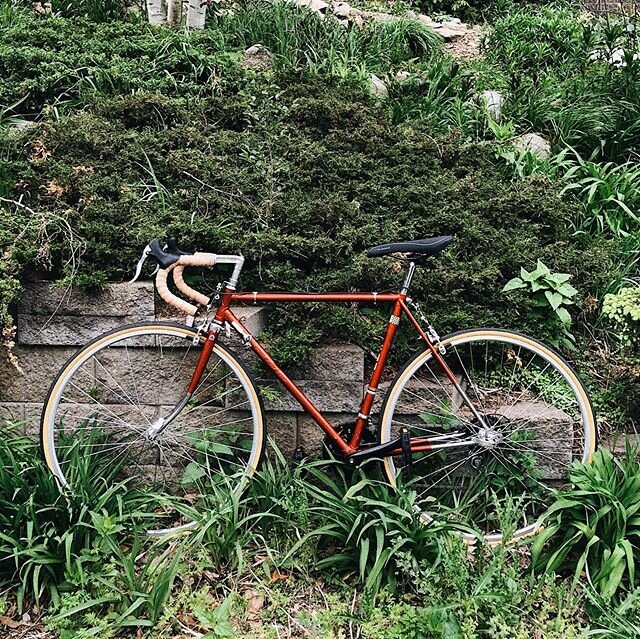 New (to me) toy from @recoverybikeshop so here&rsquo;s to more weeknights and weekends that look like this 🌞🌿
.
.
Alt caption: A big 🖕🏻 to the dummy who stole my brand spankin&rsquo; new @fairdalebikes from the bike room in my apartment this wint
