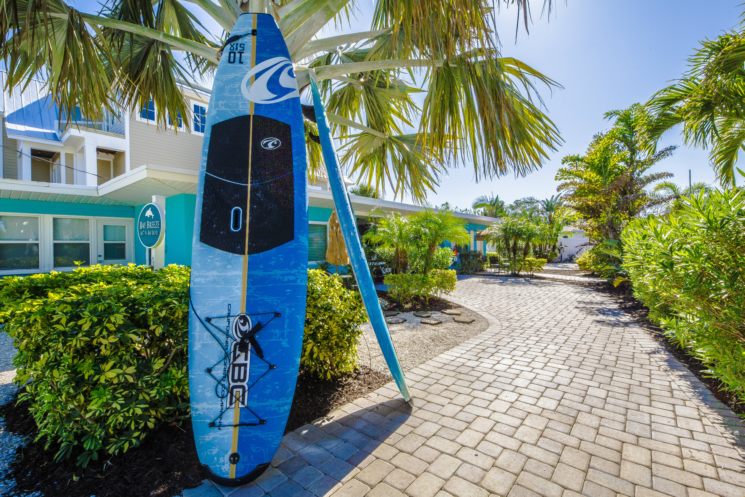 Paddle Boards