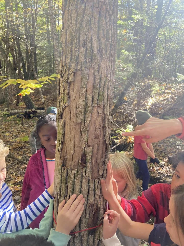 Know, Wonder, Learn: A Study of Insects — Friends School of Portland