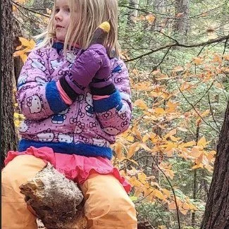 Introducing the Gnomes of Fairwood Forest... 

Last week, gnomes began appearing in the kindergarten outdoor classroom.  Each student claimed a gnome that spoke to them and spent some time brainstorming about why these gnomes might have left their ho