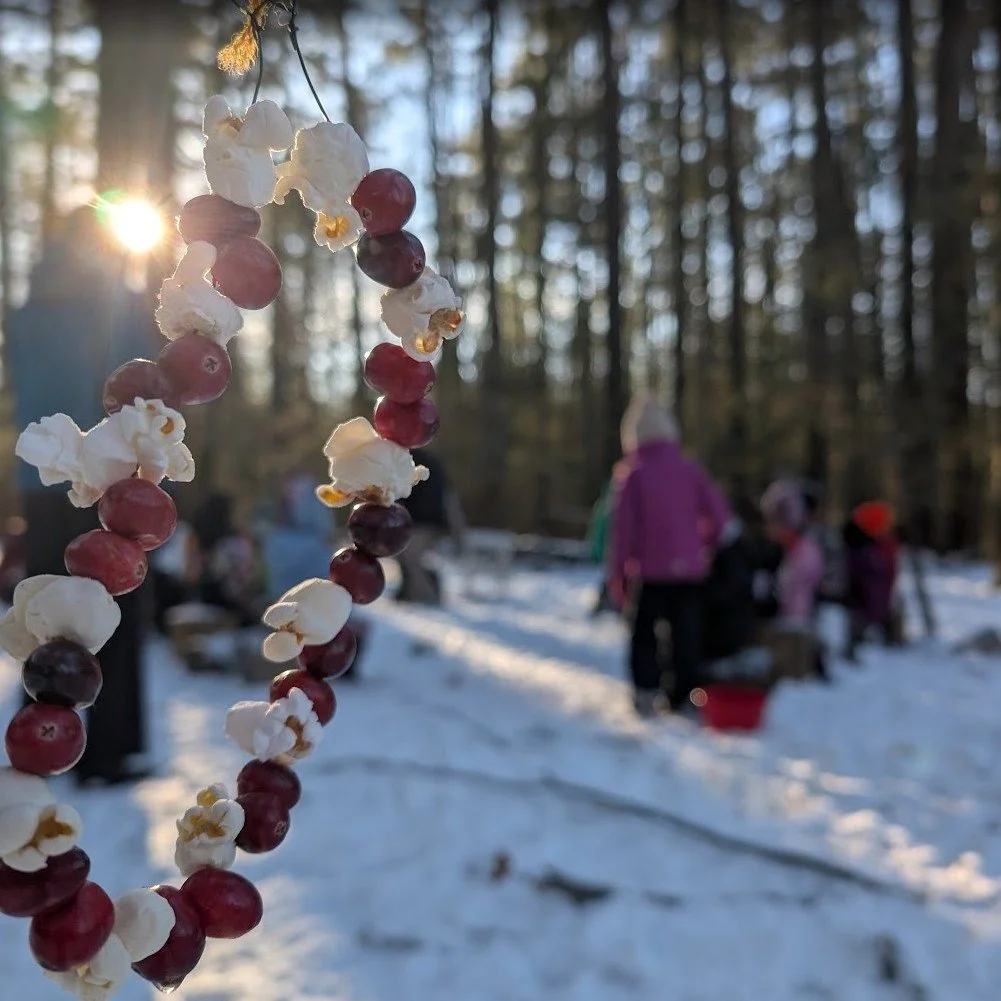 Holiday for the birds! 

First and second-grade students trekked out to Bird Land with popcorn garlands in hand to share their poetry with the birds. 

Students took turns reading their poems, slowing down and starting again to read so that the faraw