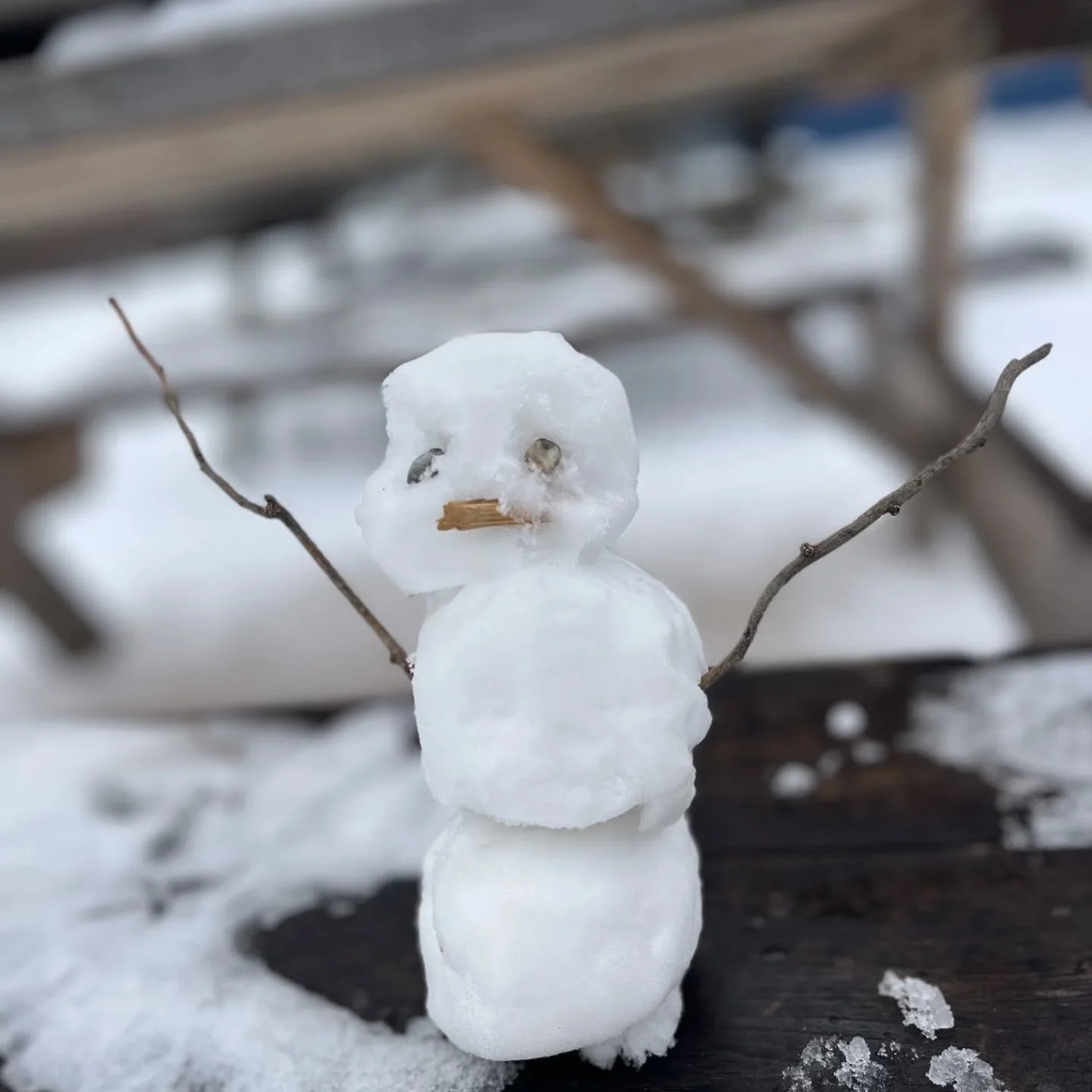 Due to inclement weather, Friends School of Portland will be closed today, January 7, 2026.