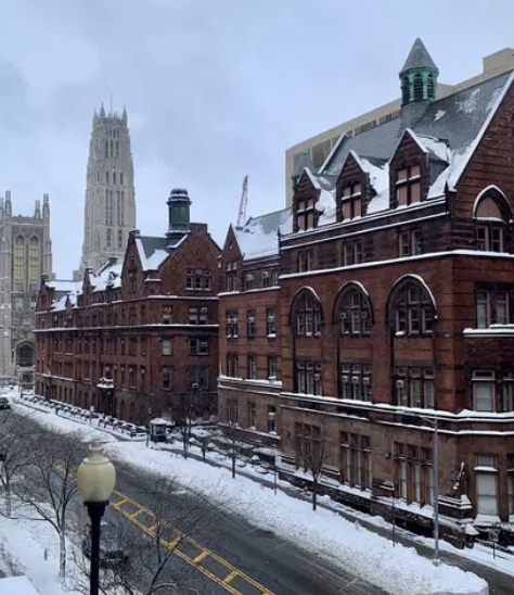 Klingenstein Center Heads of School Program:﻿Sara Primo Selected for Fellowship