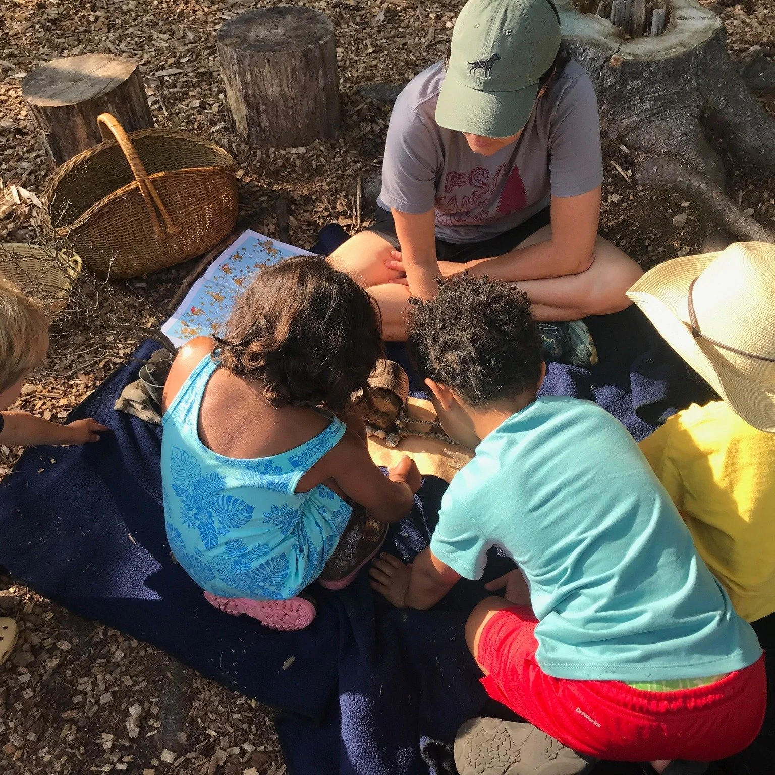 ****Summer Camp Registration Opens  on Monday, Feb. 2 at 10am!***

A reminder: a select number of returning camper spaces open on Wed., Jan. 28.  at 10am. 

Make sure to fill out paperwork in advance online to make the registration as smooth as possi