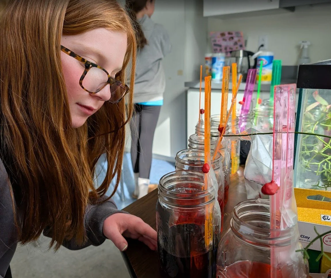 Small Class Sizes Open Up Possibilities in Middle School