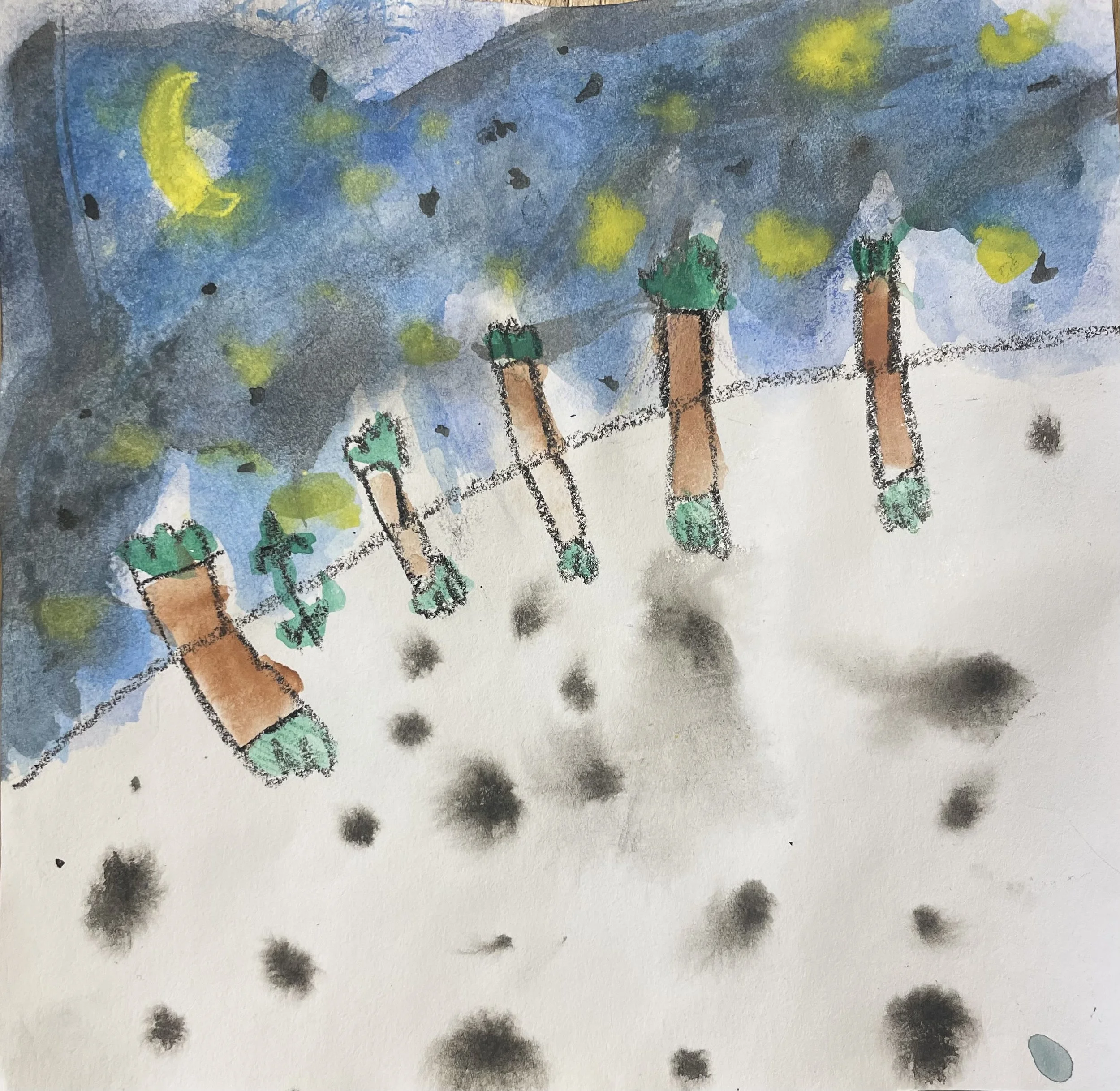 Noticing Changes in the Natural World:﻿A Study of the Sky with 1-2 Classes