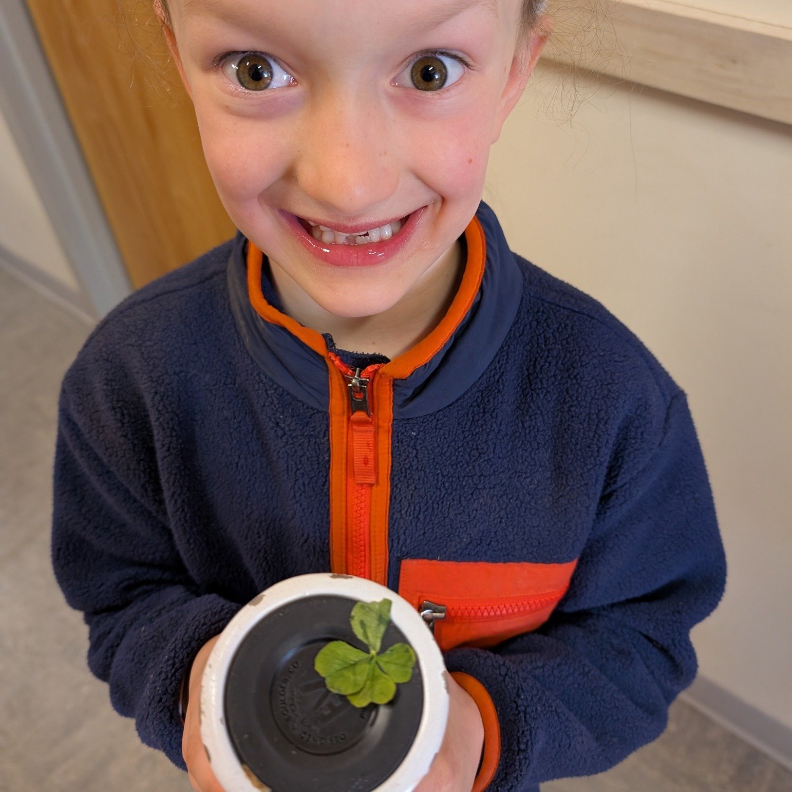 A lucky find by one lucky kindergartener 🍀

#forestkindergarten 
#fourleafclover🍀
