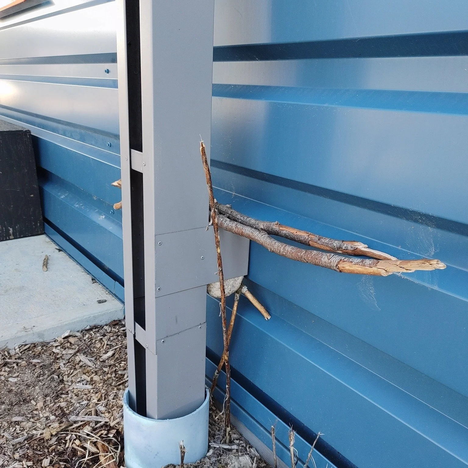 At FSP, sticks are painted in preschool, stacked into forts, and gathered during trail work. You&rsquo;ll often spot collections of meaningful ones, carefully tucked away. Finding just the right stick matters. 

This year&rsquo;s &ldquo;Stick Togethe