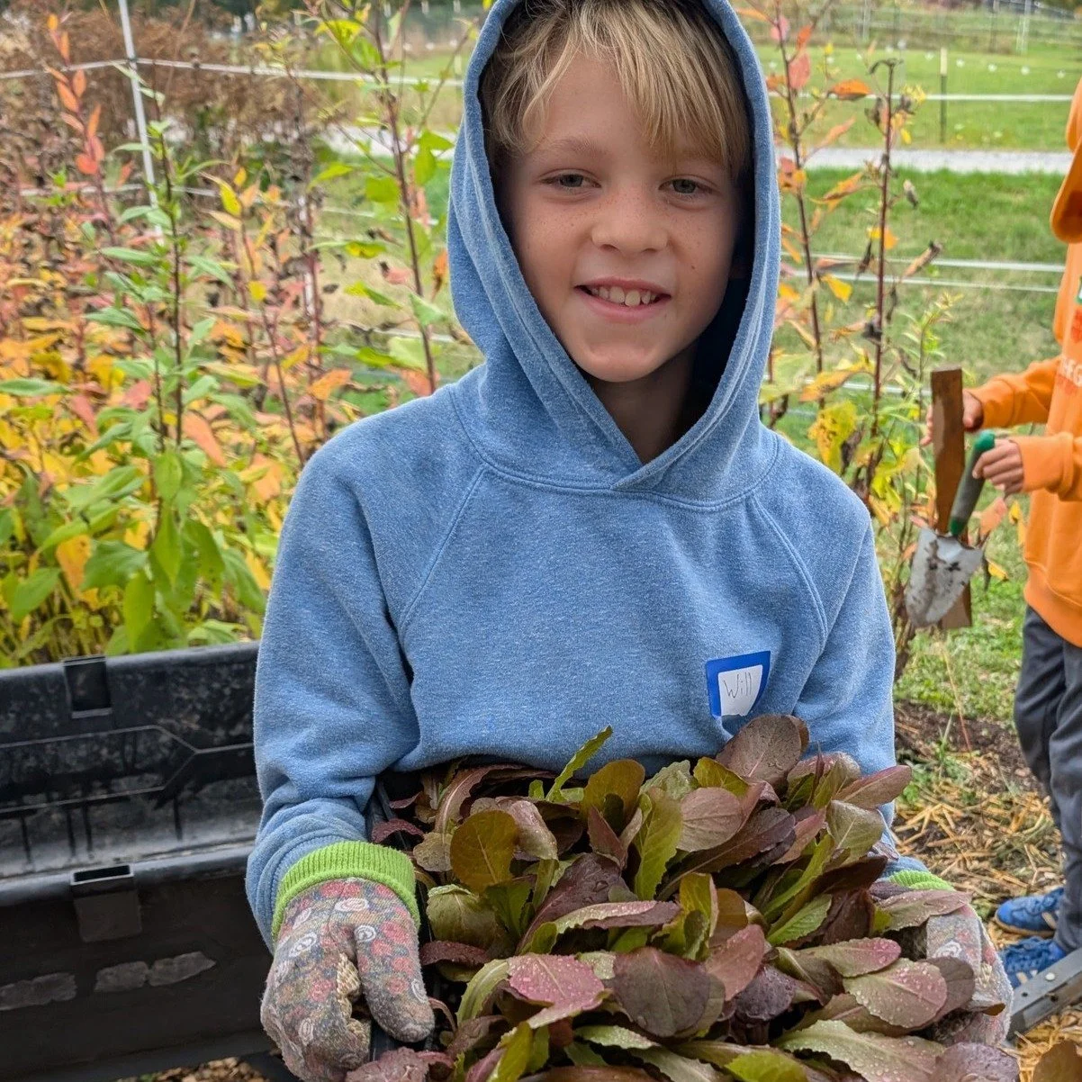 "Will it be snowing when you harvest this lettuce?" 
"Who does all the food go to when it's harvested?" 

Fifth- and sixth-graders asked Martha these questions at Growing to Give in Brunswick, where they planted the season's last 