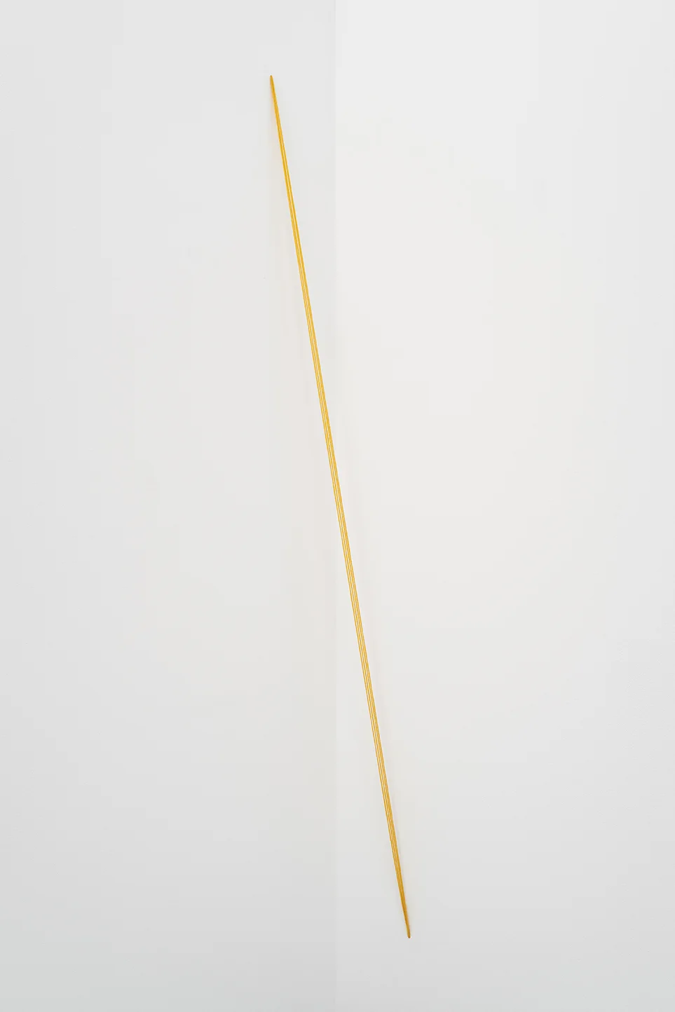 Photo: Sebastian Bach, BRLYN, New York, courtesy Fred Sandback Archive