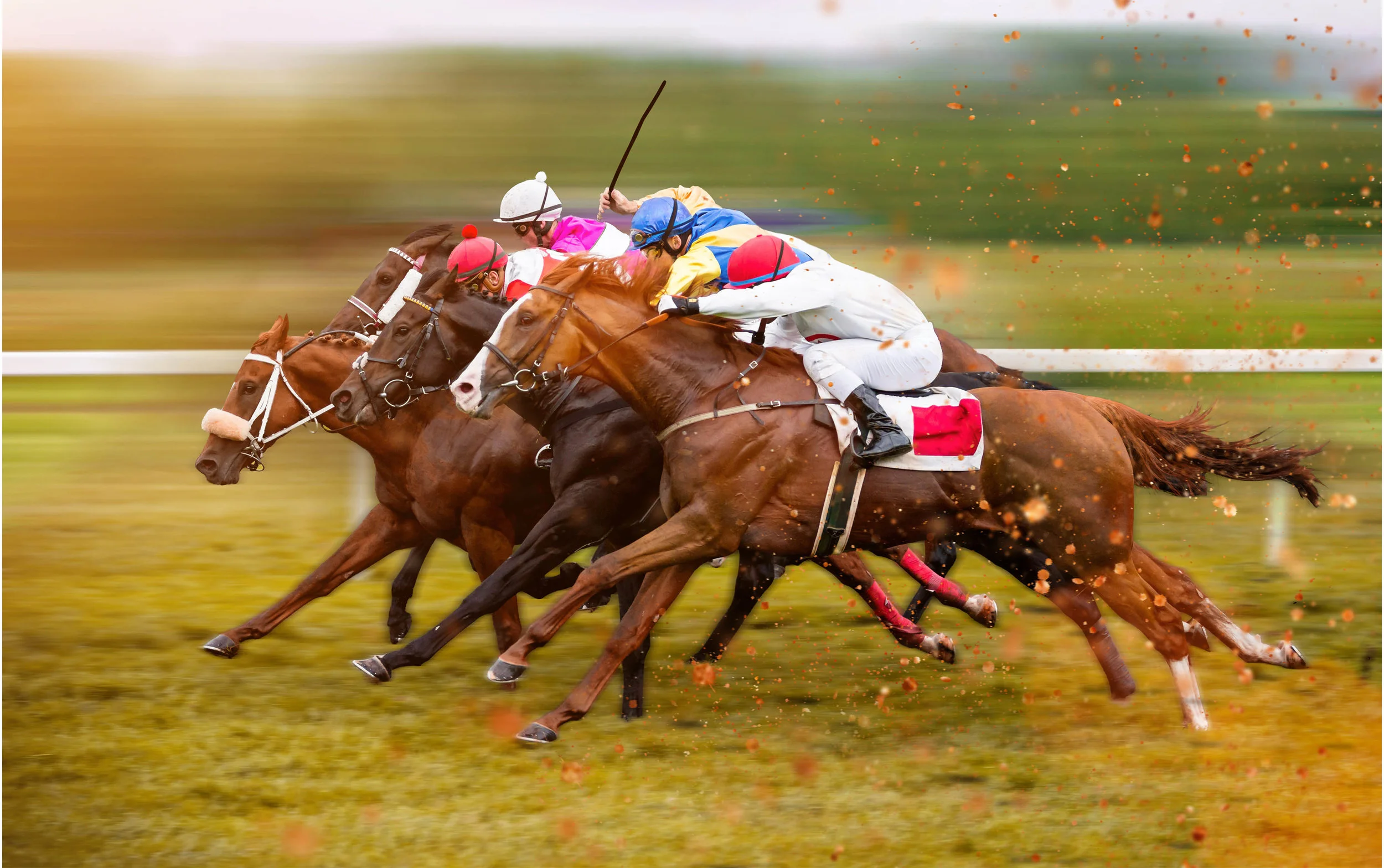 Horse-3.jpg