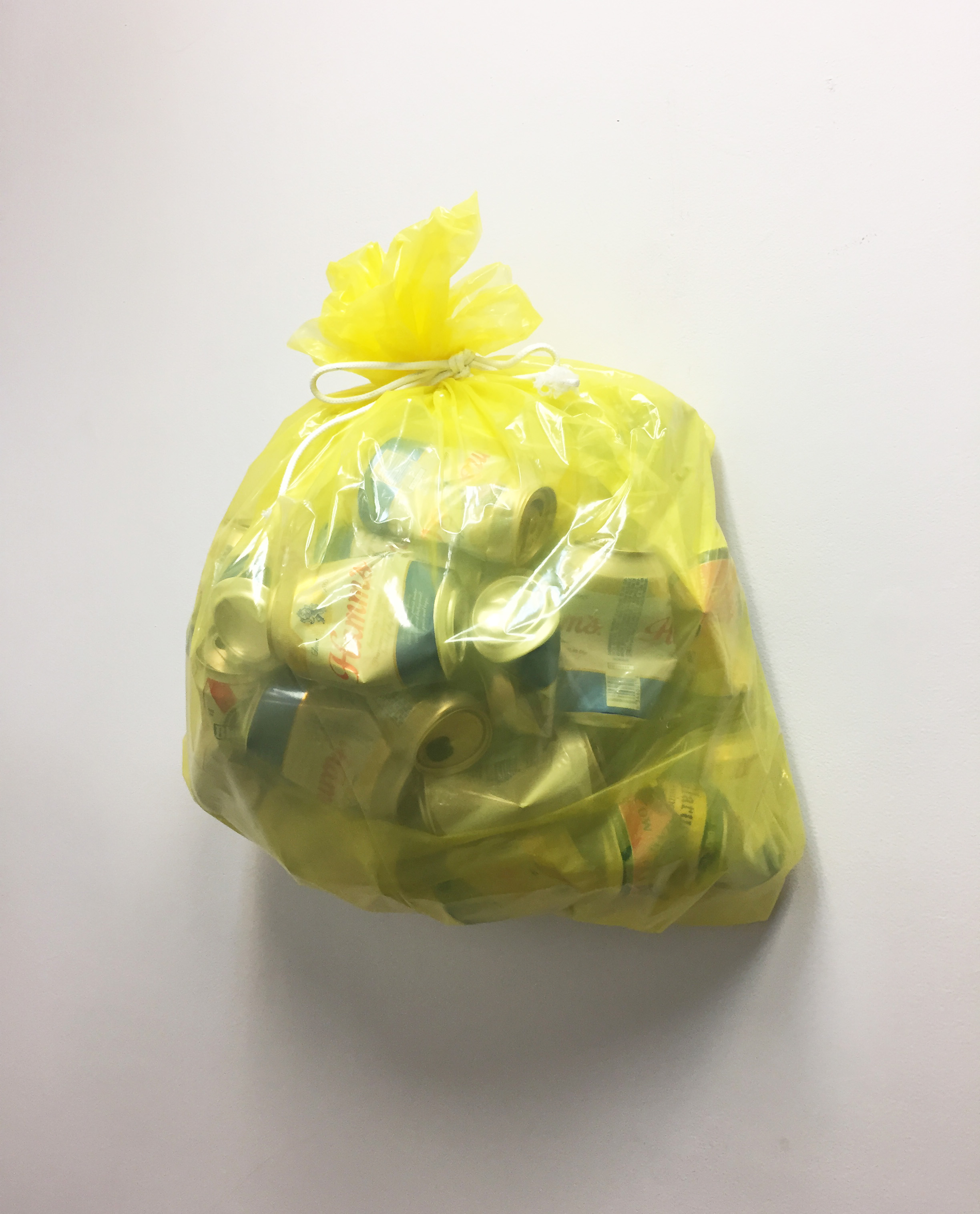 Beer can time capsule , 2017, empty beer cans, plastic rope, panel