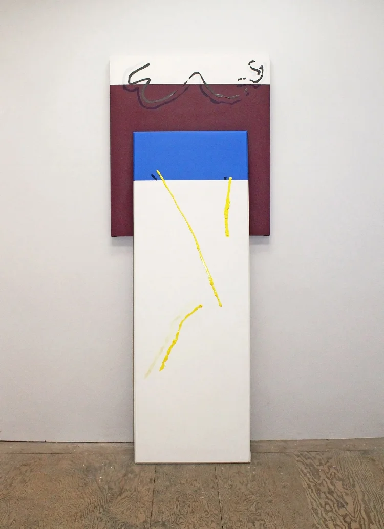 Paired Paintings , 2015, acrylic on canvases