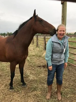HORSE+WBSITE.jpg