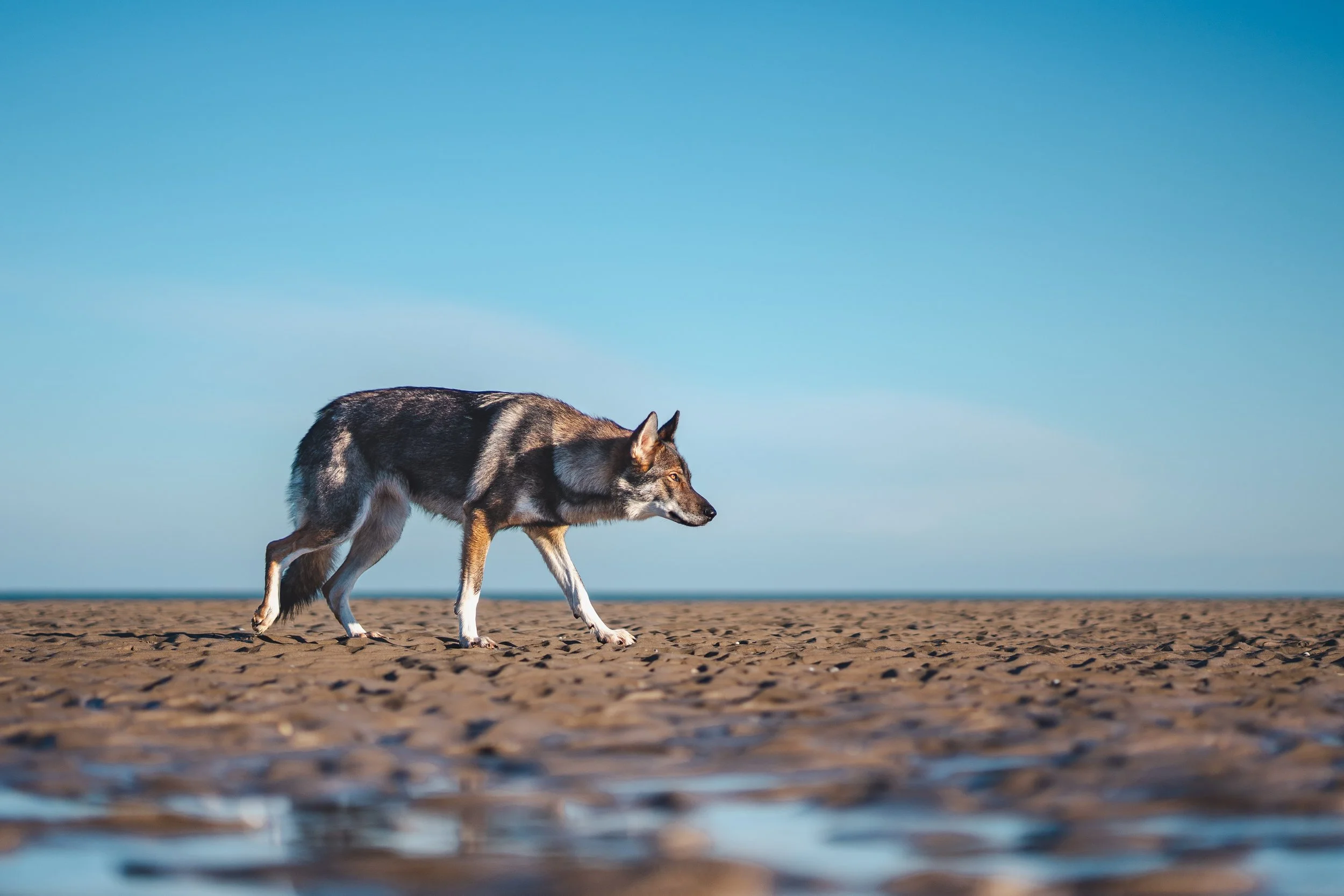 Photo by Tahoe Beetschen