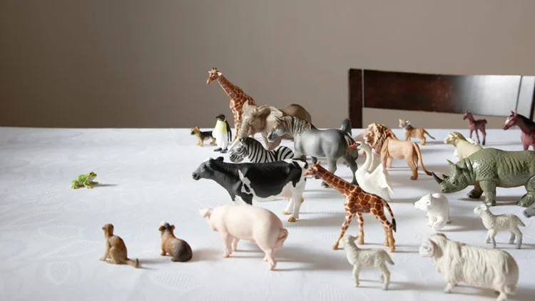 HBR article image.jpg