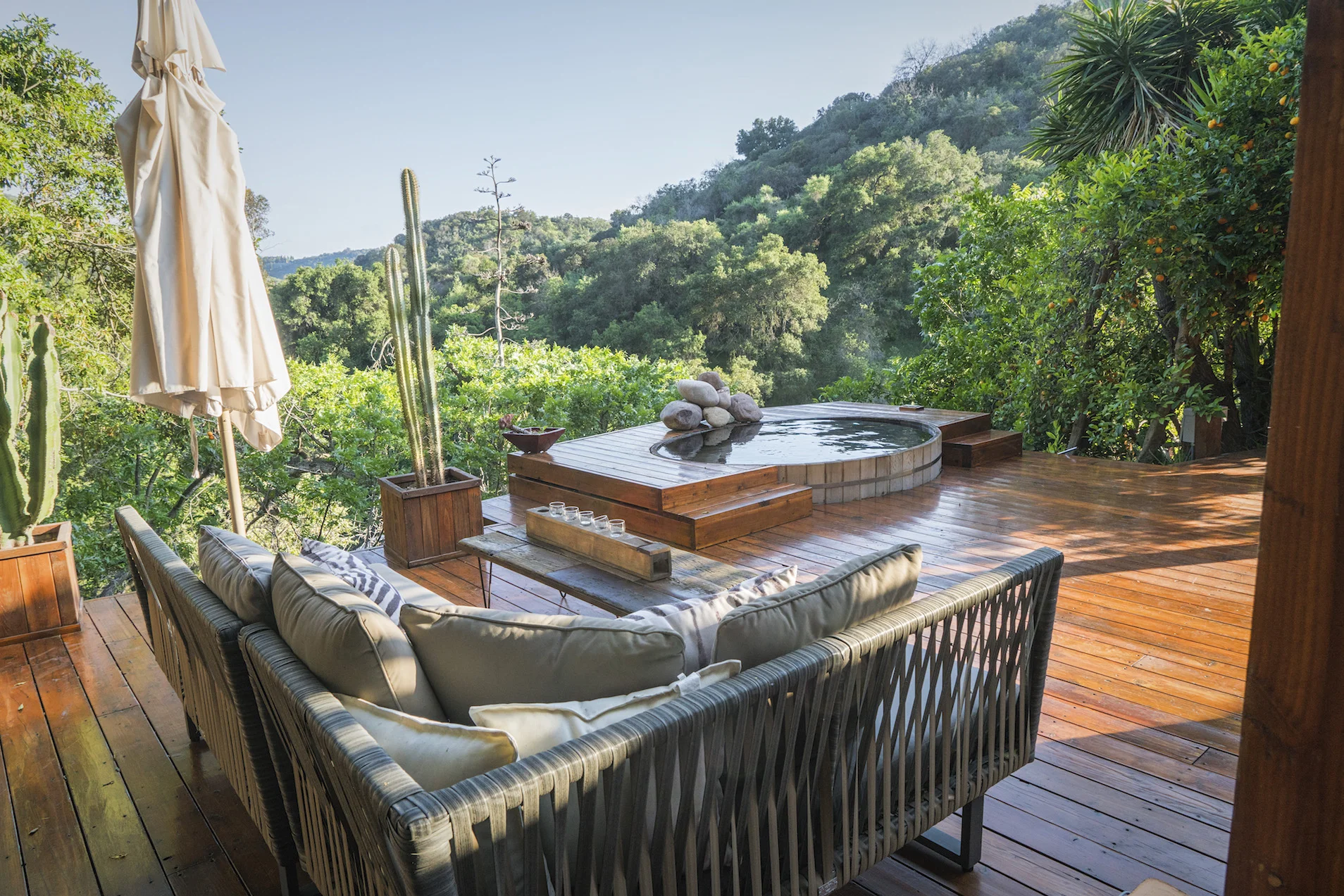 Image from Goop.com