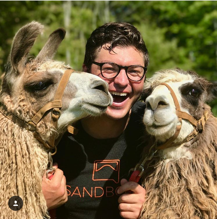 llamas.png