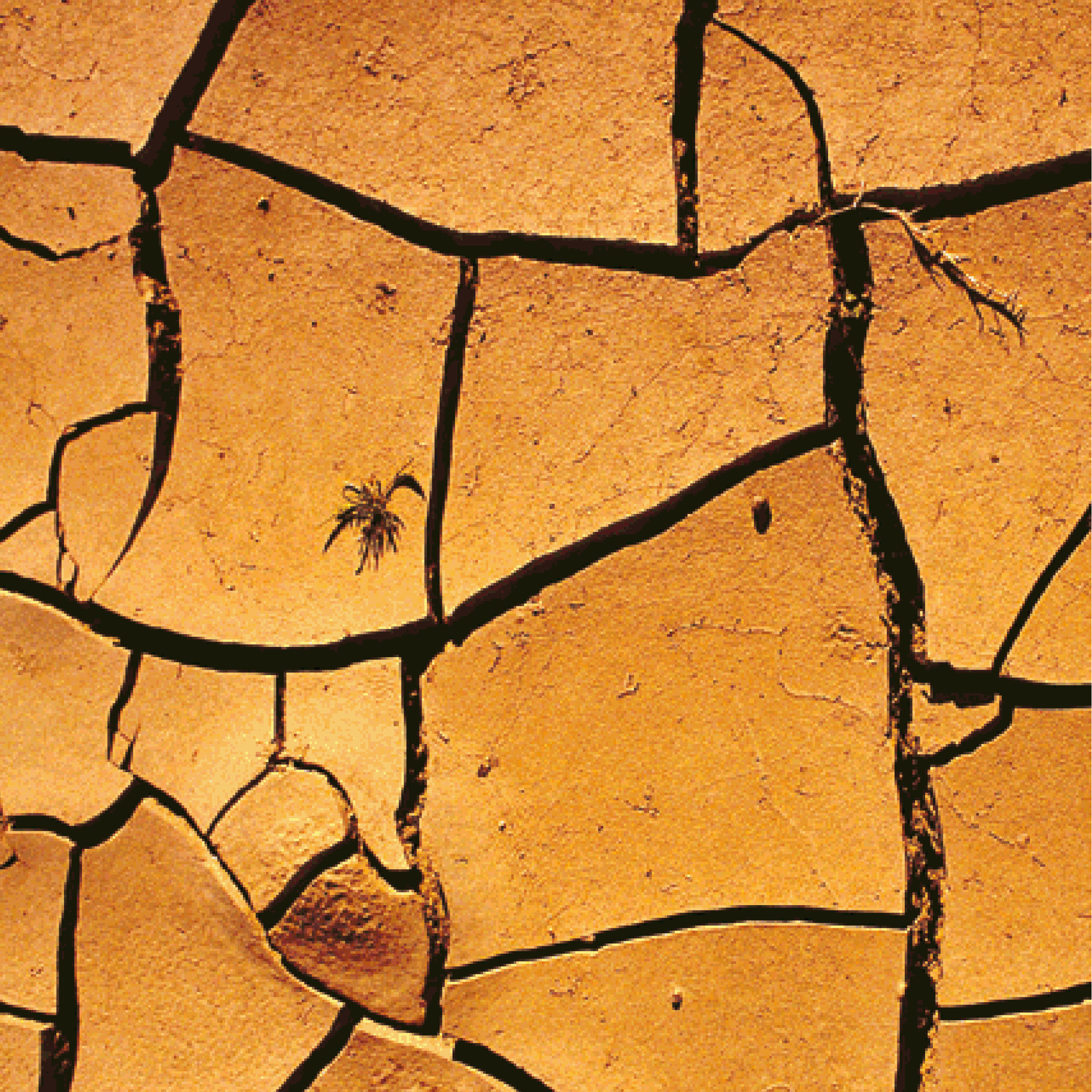 Garry McKenna Design Astra.gif