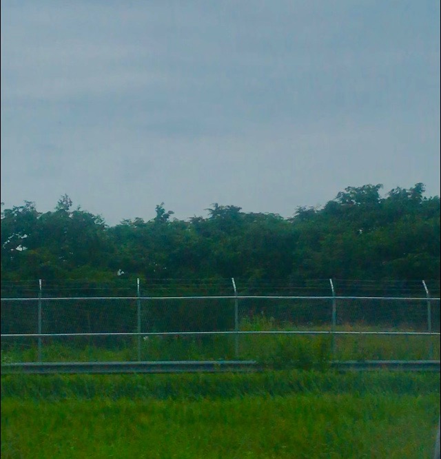 Barred wires dividing the highway