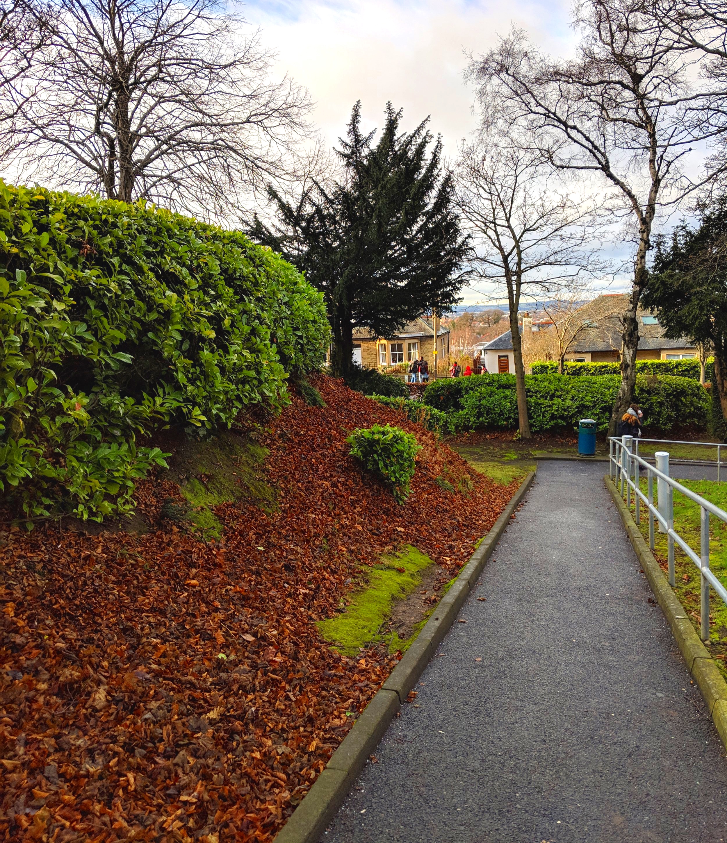 Path to the Campus